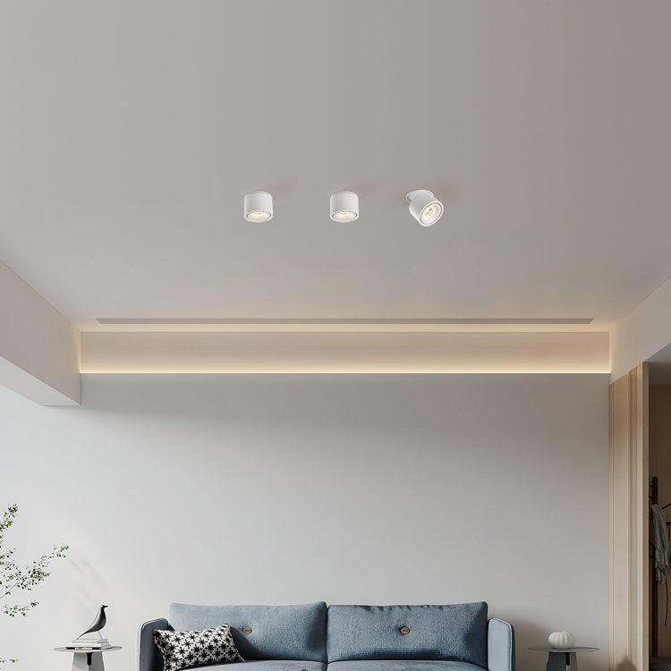 Adjustable Recessed LED Downlight – Product view 4