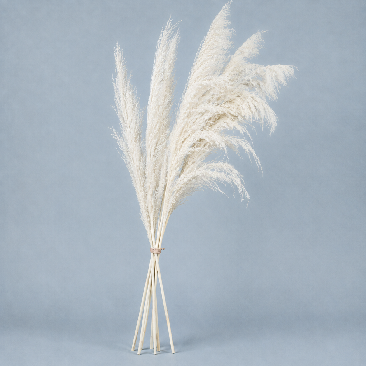Decorative Feathered Reed Stems - Ivory White
