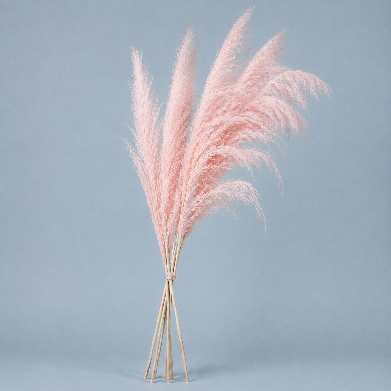 Decorative Feathered Reed Stems - Blush Pink