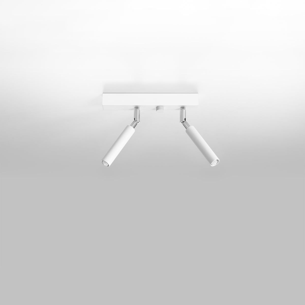 Rotatable Ceiling Light – Main product image