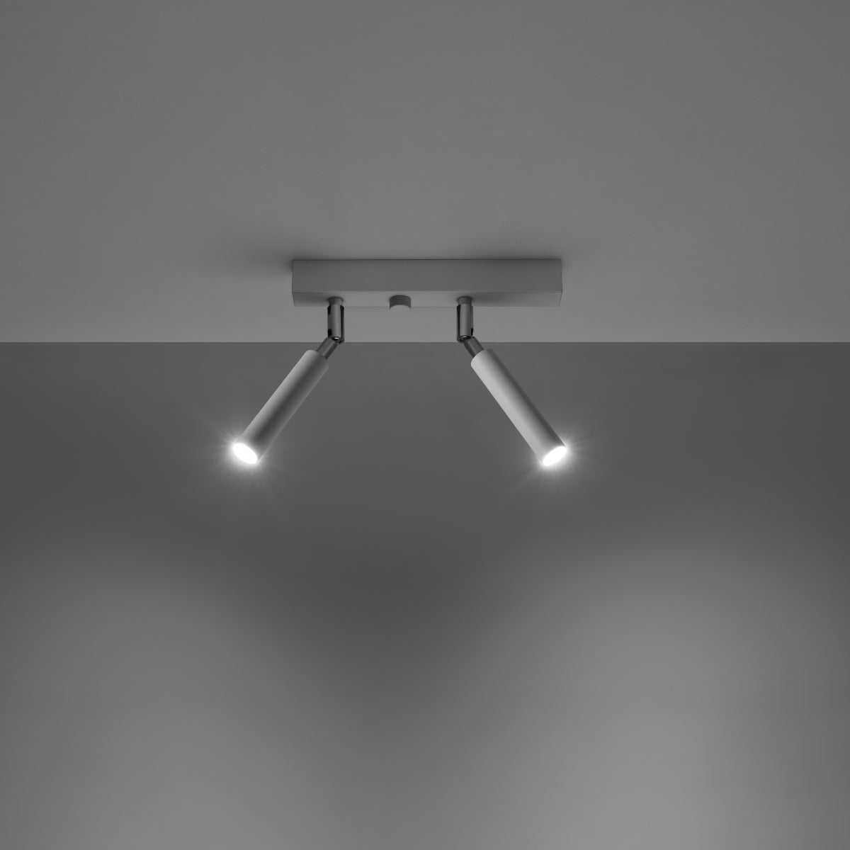 Rotatable Ceiling Light – Product view 3