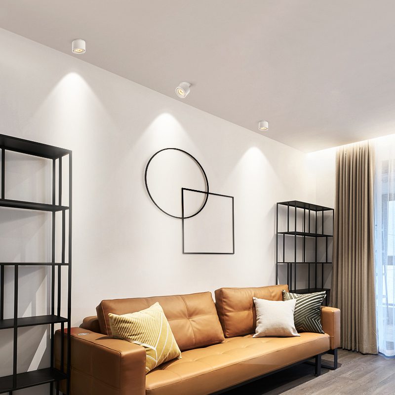 Adjustable Recessed LED Downlight – Product view 2