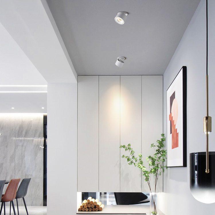 Adjustable Recessed LED Downlight – Product view 9