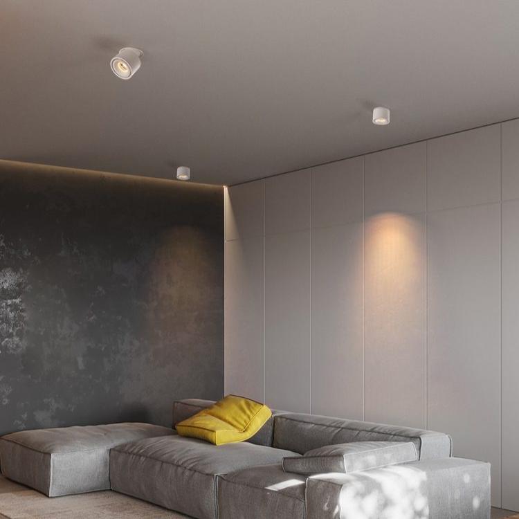 Adjustable Recessed LED Downlight – Product view 13