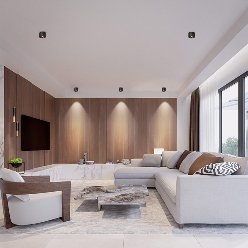 Adjustable Recessed LED Downlight – Product view 17