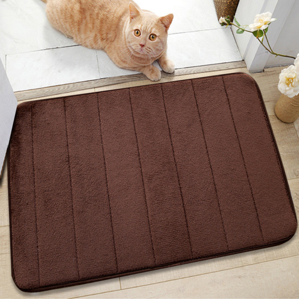 Ultrasoft Absorbent Bath Mat