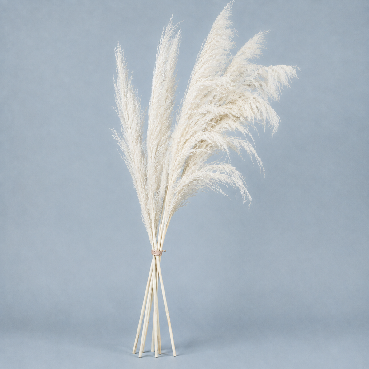 Decorative Feathered Reed Stems - Ivory White